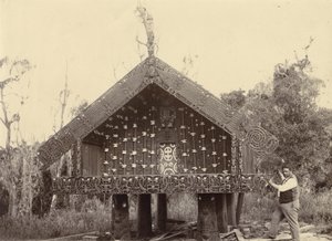 Te Takinga pataka, ca. 1895 (sølv gelatintrykk)